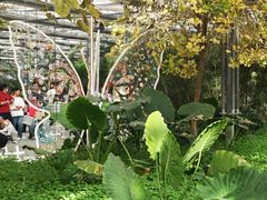 -南和农业嘉年华