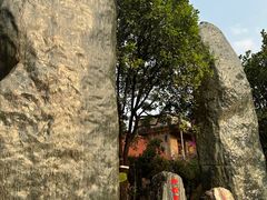 -云南勐巴娜西珍奇园