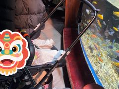 -太平洋海底世界