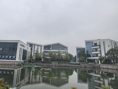 -湘湖金融镇