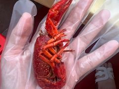 -小田油焖小龙虾(双井店)