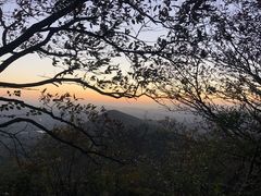 -紫金山山顶公园