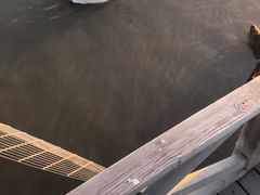 -哈素海