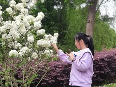 -枫香湖儿童公园