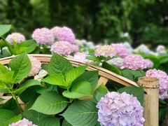 -常州古运河南大街文化旅游区-人民公园