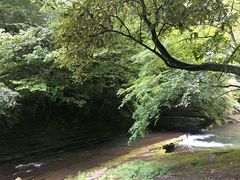 -黎坪国家森林公园