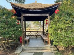 -上海醉白池公园