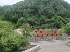 -牛背梁国家森林公园