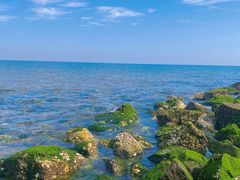 -烟台金沙滩海滨公园