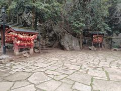 -杭州西湖风景名胜区-三生石