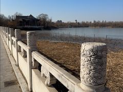 -鱼翅楼·津派砂锅鱼翅(水上公园店)
