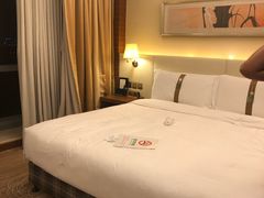 -上海浦东康桥绿地假日酒店