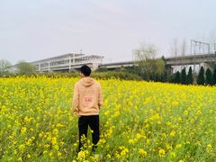 -临平南高铁站(地铁站)