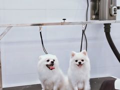 -comecome来吧宠物(奥克斯中心店)