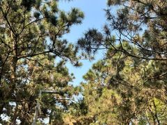 -重庆中央公园(渝北区)