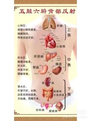 -香薇妮丝女子减肥院