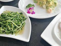 -云中小雅