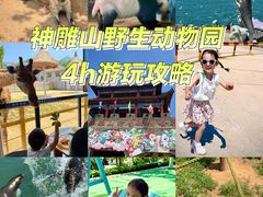 -西霞口神雕山野生动物世界