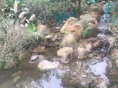 -梅峰山地公园