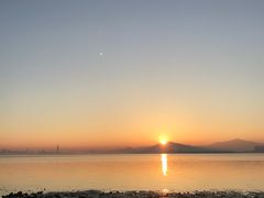 -深圳湾公园(南山区)