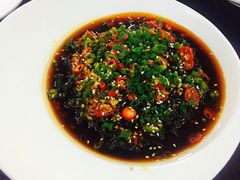 酸辣蕨根粉-川湘園(西华路店)