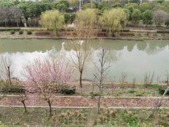 -联东U谷(恒永路)