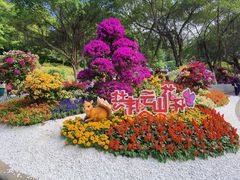 -广州市白云山风景名胜区