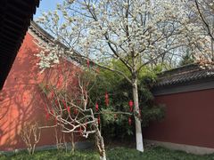 -钱王祠