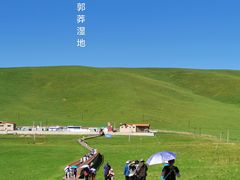 -郭莽湿地