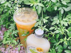 -奈雪的茶(石家庄万象城店)