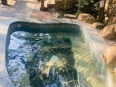 -宁海森林温泉