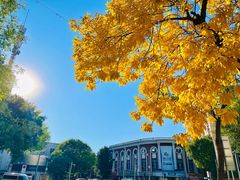 -天津五大道文化旅游区