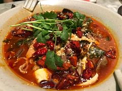 金牌毛血旺-辛香汇·现炒川菜(淮海路百盛店)
