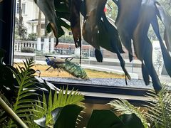 -J Create城市露营咖啡·简餐·宠物(上海动物园店)