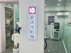 -爱洗澡的猫(望京店)