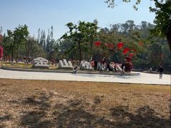 -金山植物公园