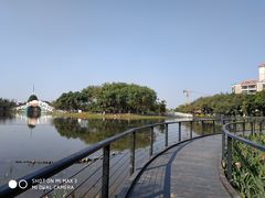 -映月湖公园