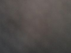 -郴州特产舜华临武鸭(郴州西站店)