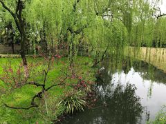 -柳浪闻莺公园