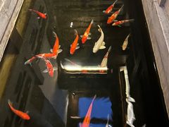 -鲤院·新中式美学·庭院餐厅(夫子庙店)