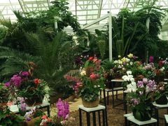 -石家庄市植物园