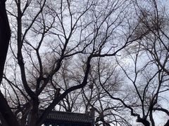 -北京国子监胡同