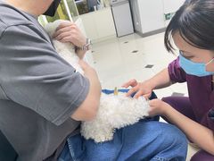 -酷宠动物医院(天通西苑店)