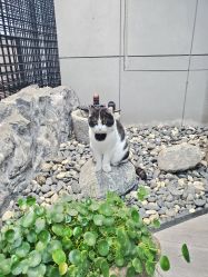 -塞巴斯汀SEBASTIAN专业美发店