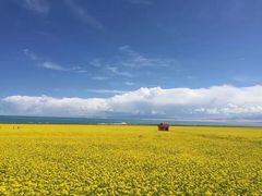 -青海湖国家重点风景名胜区