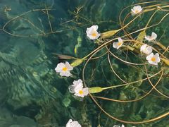 -丽江泸沽湖景区