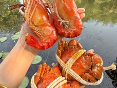 -欢乐蟹庄·精品农家乐(阳澄湖莲花岛店)