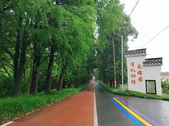 -上海长兴岛郊野公园