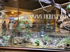 -帕帕拉兹宠物(亚洲旗舰店)