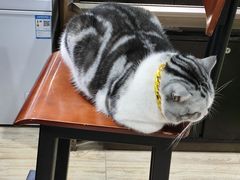 -百金通黄金回收首饰定制维修(珠江路总部)